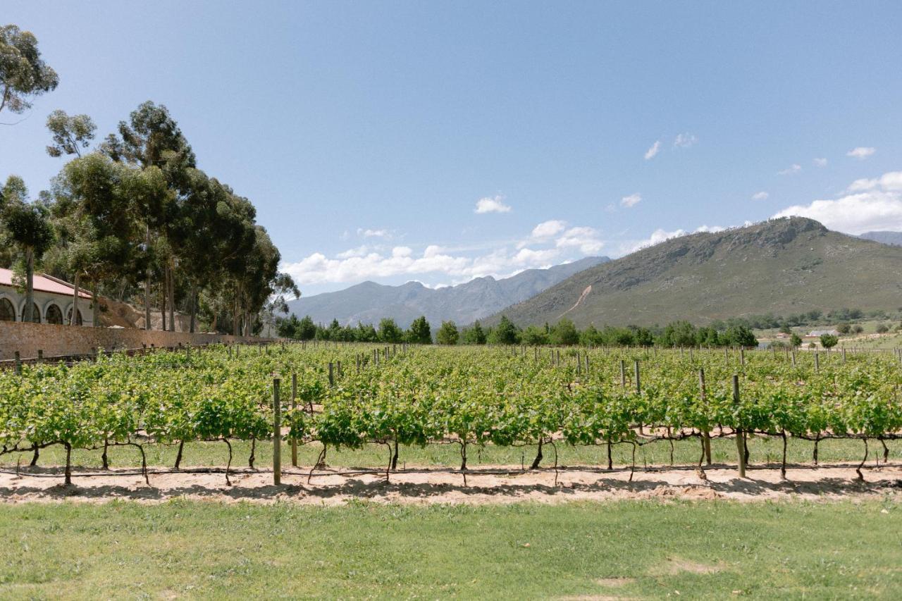 La Roche Estate Apartment Franschhoek Luaran gambar